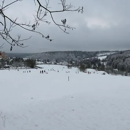 Prachtig Uitzicht Feriehus Altenau (Lower-Saxony)