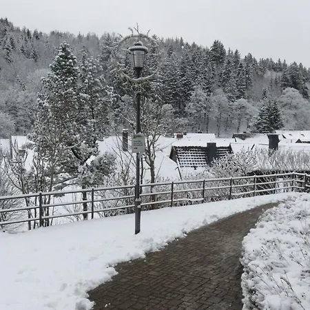 Feriehus Prachtig Uitzicht Altenau (Lower-Saxony)